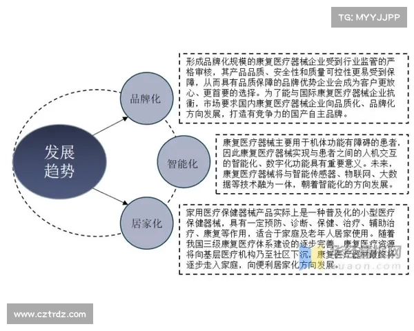 重建中的雷霆：年轻核心崛起与未来发展潜力解析