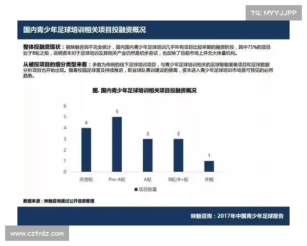 足球转会市场风险管理与控制策略研究报告