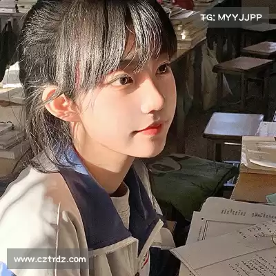 凤鲁庄